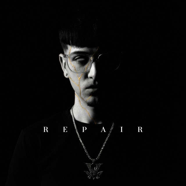 Repair cover art