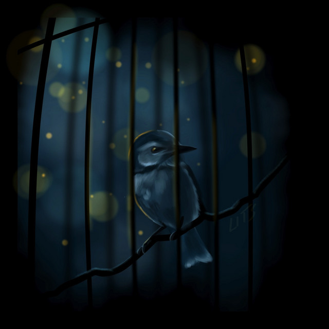 Cygnet - Clipped Wings - Demo