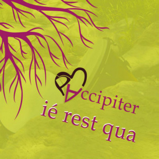 Iè rest qua cover art