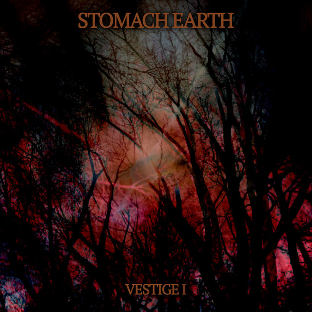 Stomach Earth