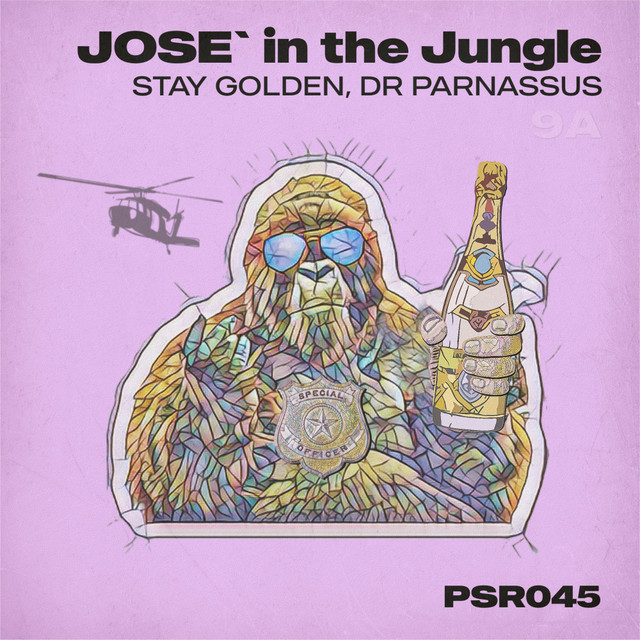 Jungle Police - Dr Parnassus Remix album art