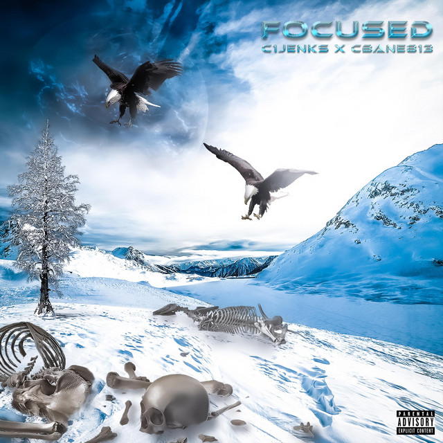 Album art for Focus ?