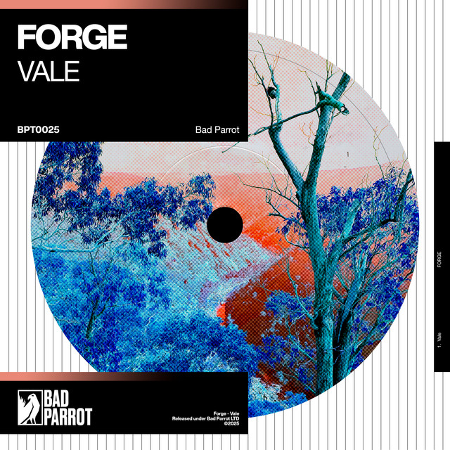 Vale cover art