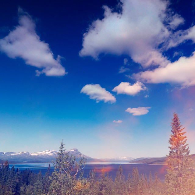 album image
