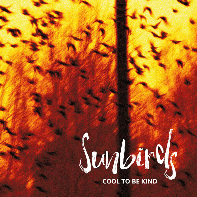 Cool to Be Kind cover art