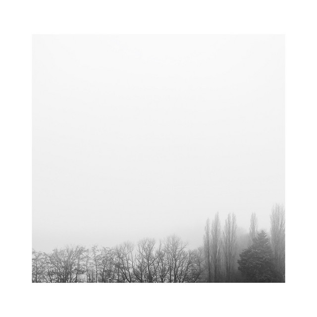four cover art