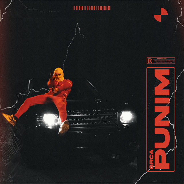 Punim cover art