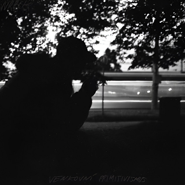 Venkovní Primitivismus cover art