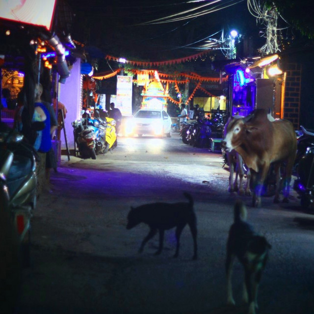 One Night In Chapora cover art