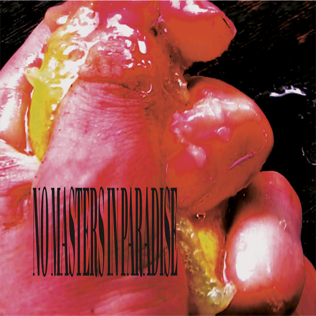 No Masters in Paradise cover art