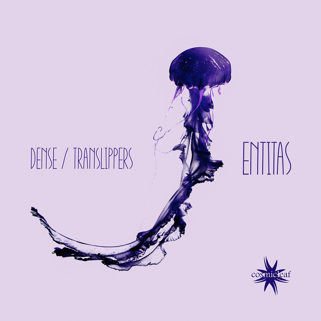 Entitas cover art