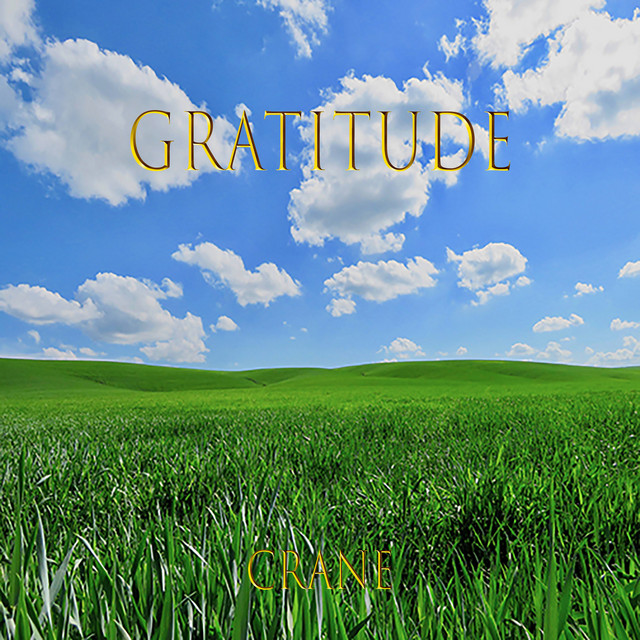 Gratitude - Single by Crane | Spotify