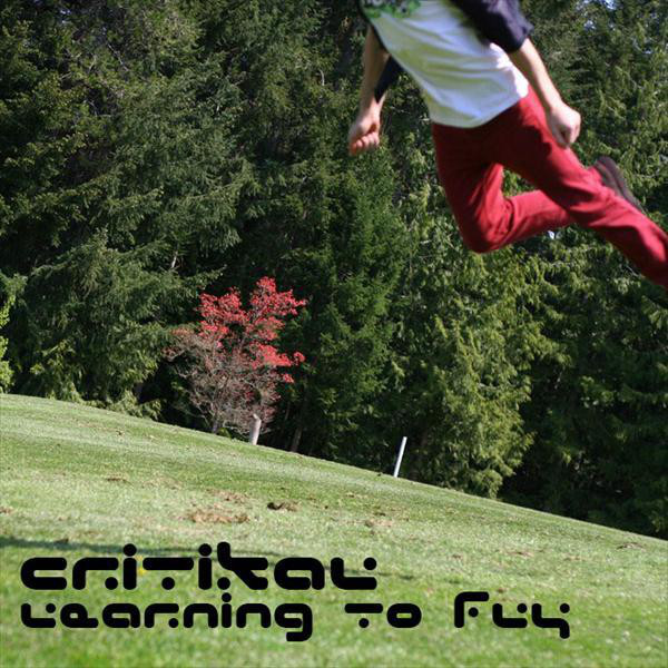 Learning to Fly (2002-2005) cover art