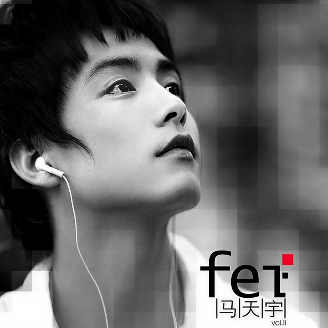 飞 cover