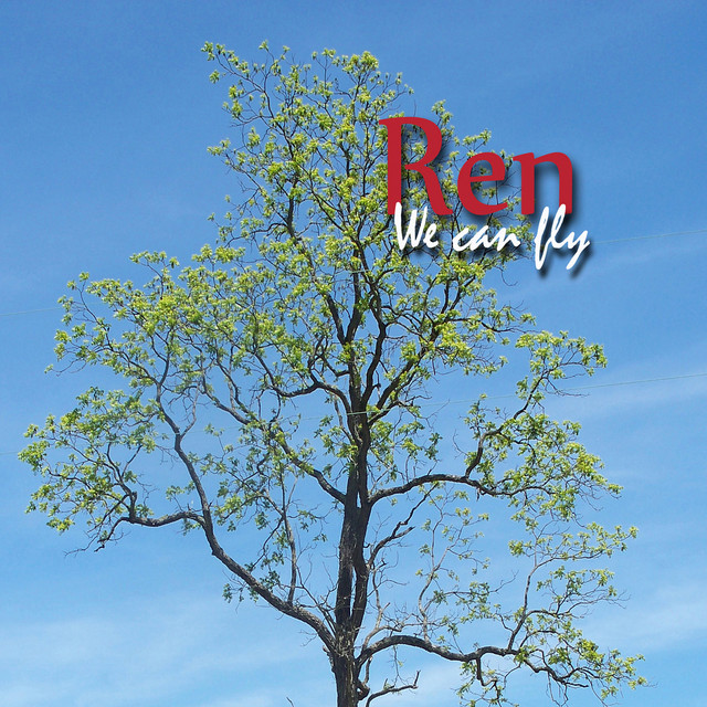 We Can Fly cover art