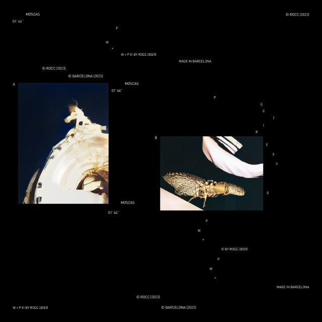 Moscas cover art