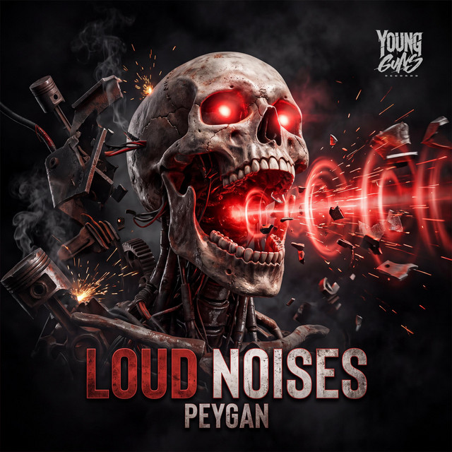 LOUD NOISES