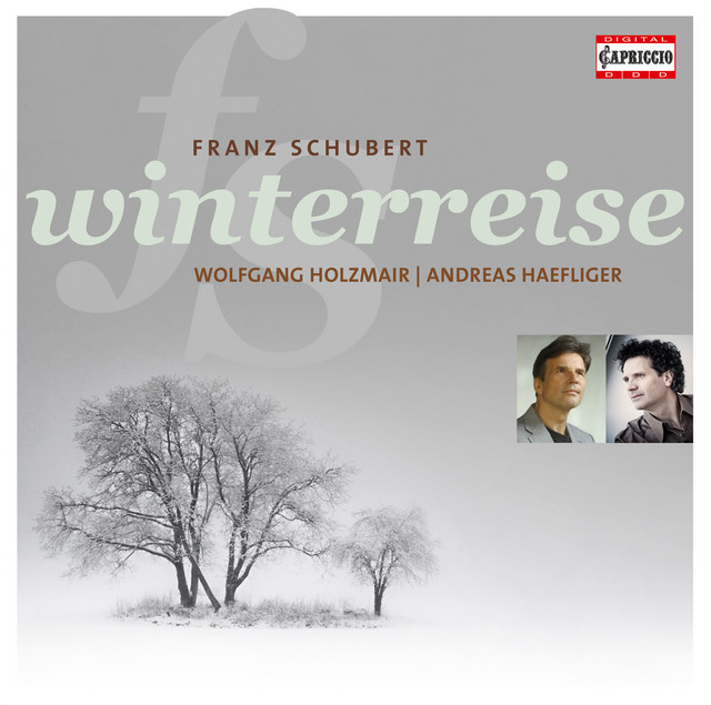 Schubert: Winterreise cover