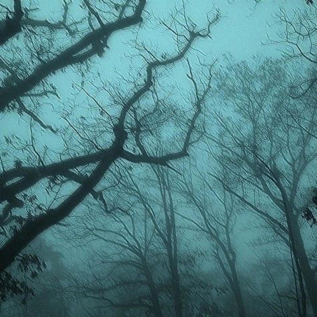 2am shoegaze cover art