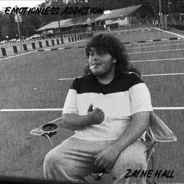 Emotionless Addiction - Single by Zayne Hall | Spotify