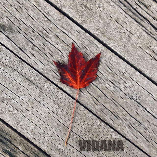 Обкладинка: Просто побудь зі мною — Vidana