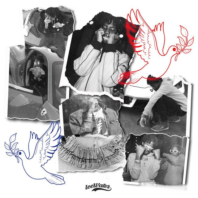 IceBirds Project cover art