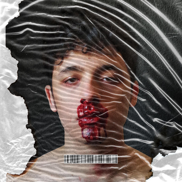 Mis Planes Sin Verte cover art