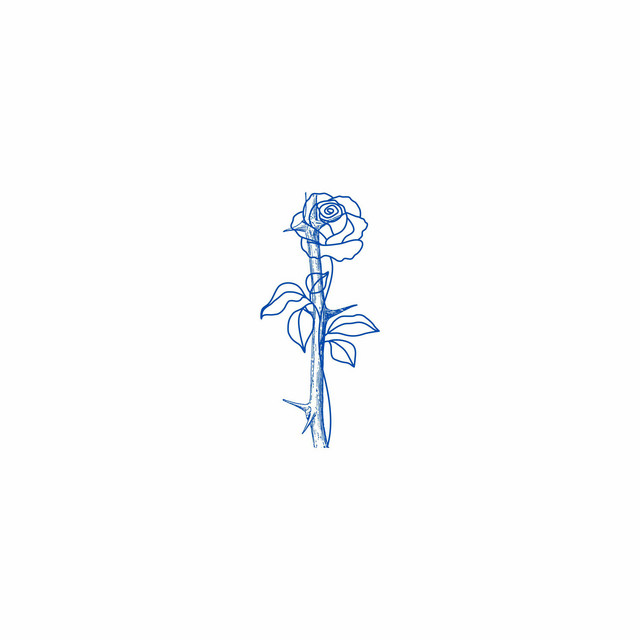 Rosas & Espinas