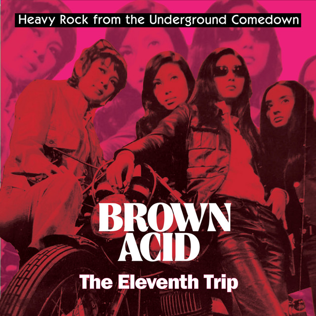 Brown Acid - The Eleventh Trip cover art