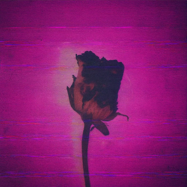 Middle East Nights - Alphanova Remix cover art
