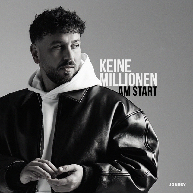 Keine Millionen am Start cover