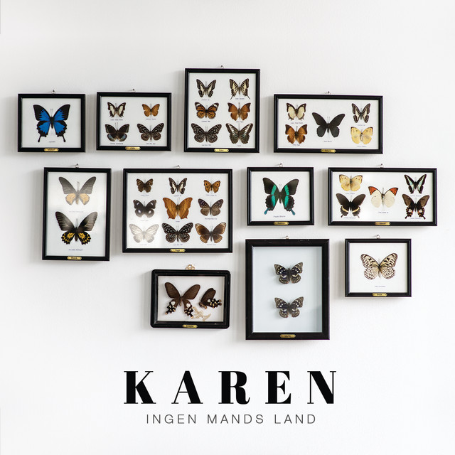 Ingen Mands Land cover art