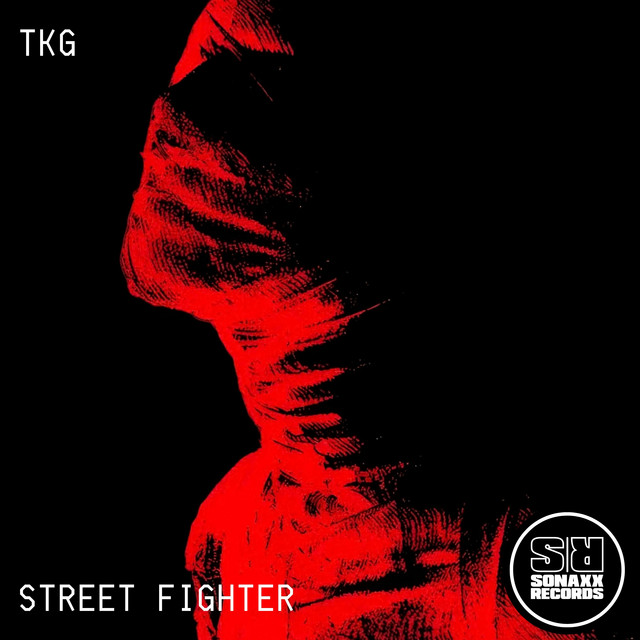 Street Fighter album art