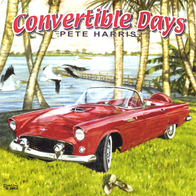 Convertible Days cover