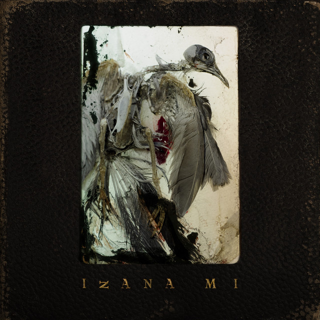 IzanaMi cover art