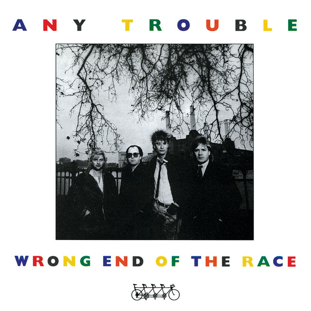 Wrong End Of The Race cover art