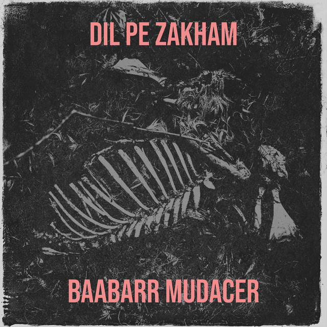 Dil Pe Zakham album image
