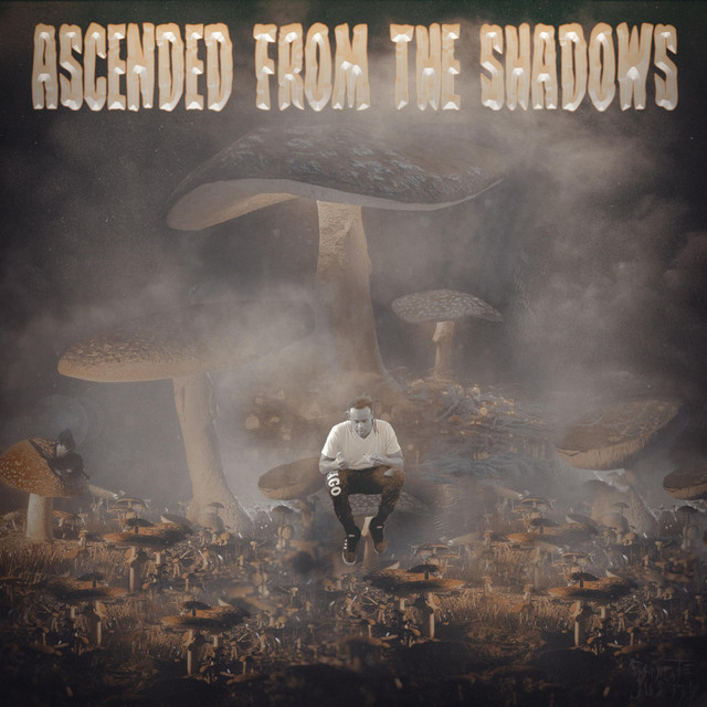 Ascended from the Shadows cover art