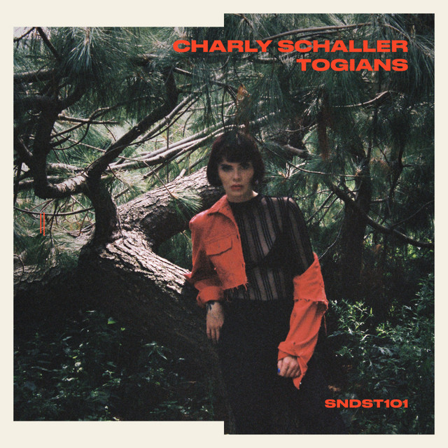 Album art for Television Static