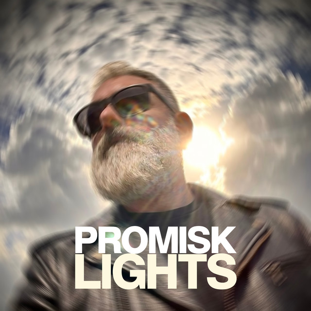 Lights cover