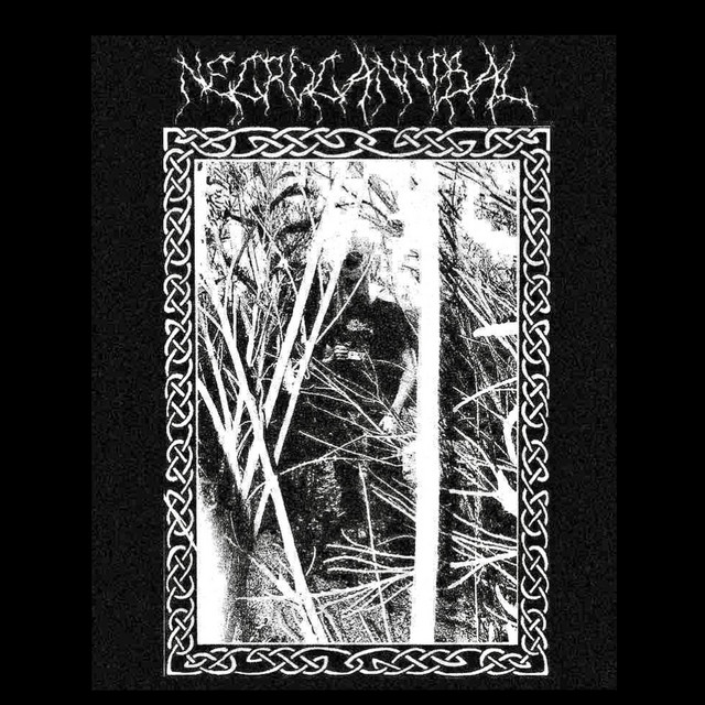 Necrocannibal Photo