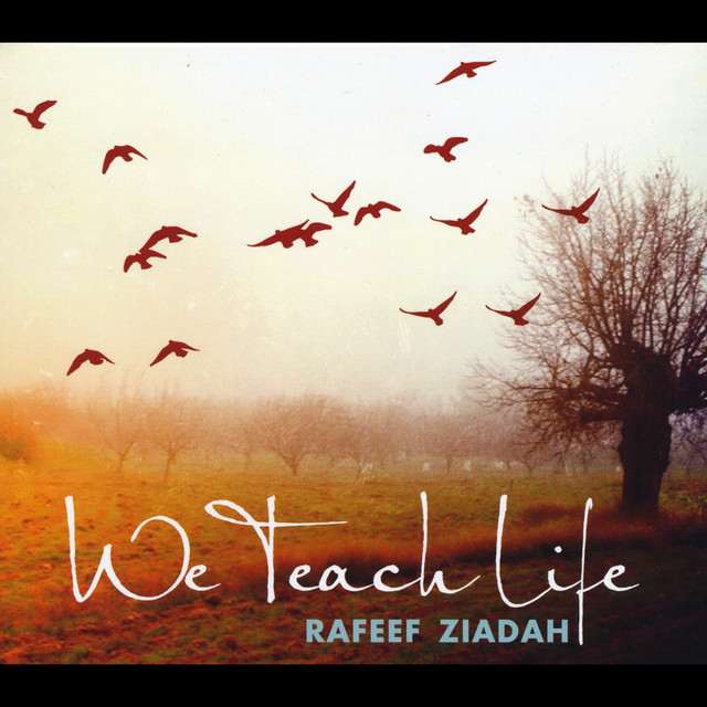 We Teach Life cover art