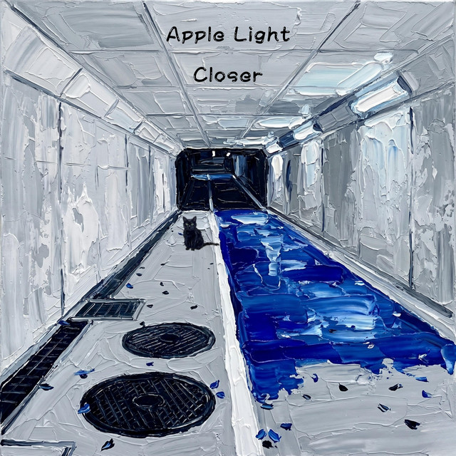 Closer cover