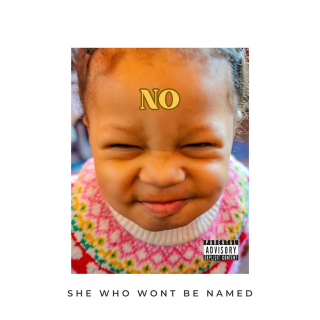 NO! - Single by She Who Wont Be Named | Spotify