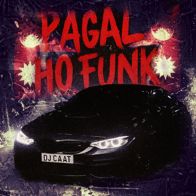 PAGAL HO FUNK