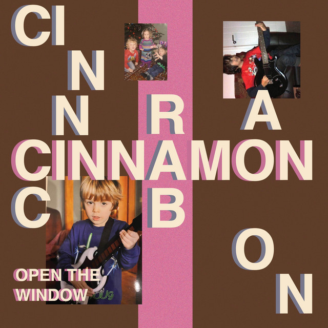 Cinnamon cover art