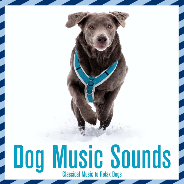 Relaxing Sounds for Dogs cover art