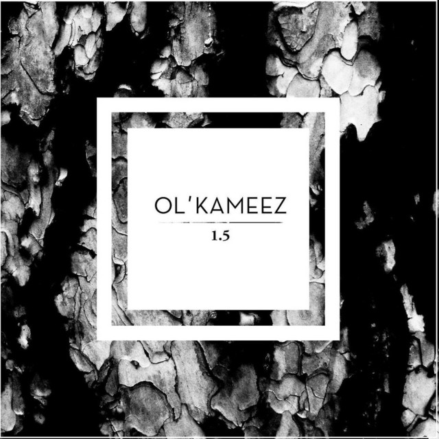 Ol'Kameez, Vol. 1.5 cover art