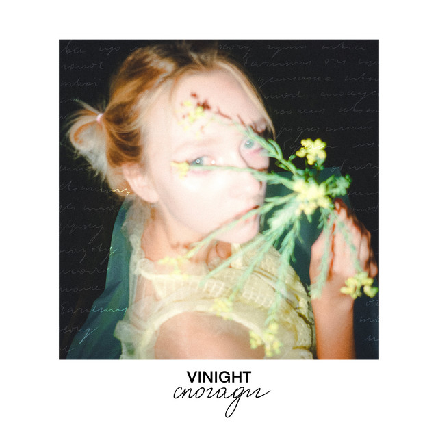 Обкладинка: Спогади — VINIGHT