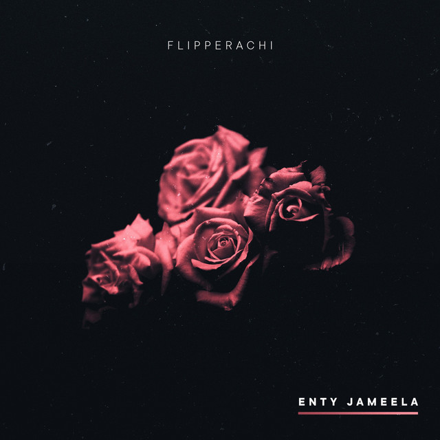 Enty Jameela cover art